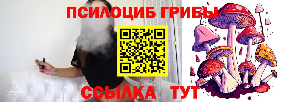 Псилоцибиновые грибы прущие грибы  Вход с VPN  Малгобек 